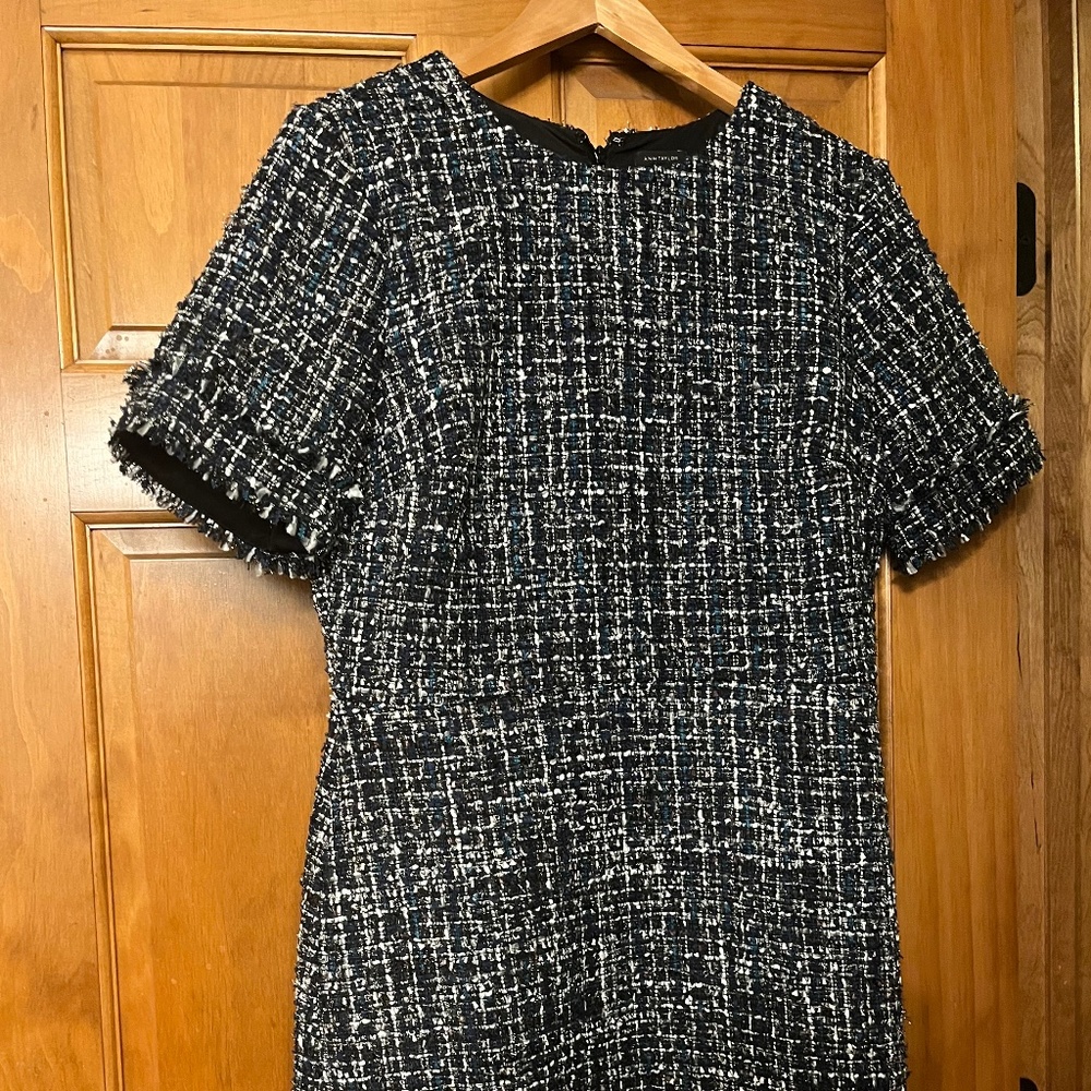 Ann Taylor Fringe Tweed Dress - NWOT